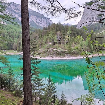 Haus Bergblick Fruehstueckspension Oberort エクステリア 写真