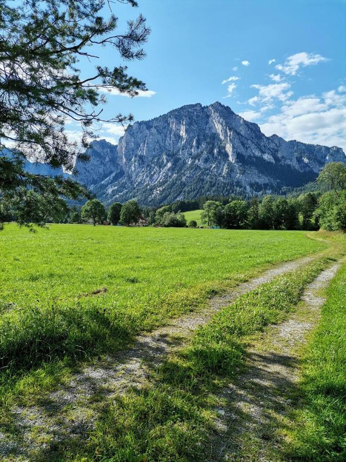 Haus Bergblick Fruehstueckspension Oberort エクステリア 写真