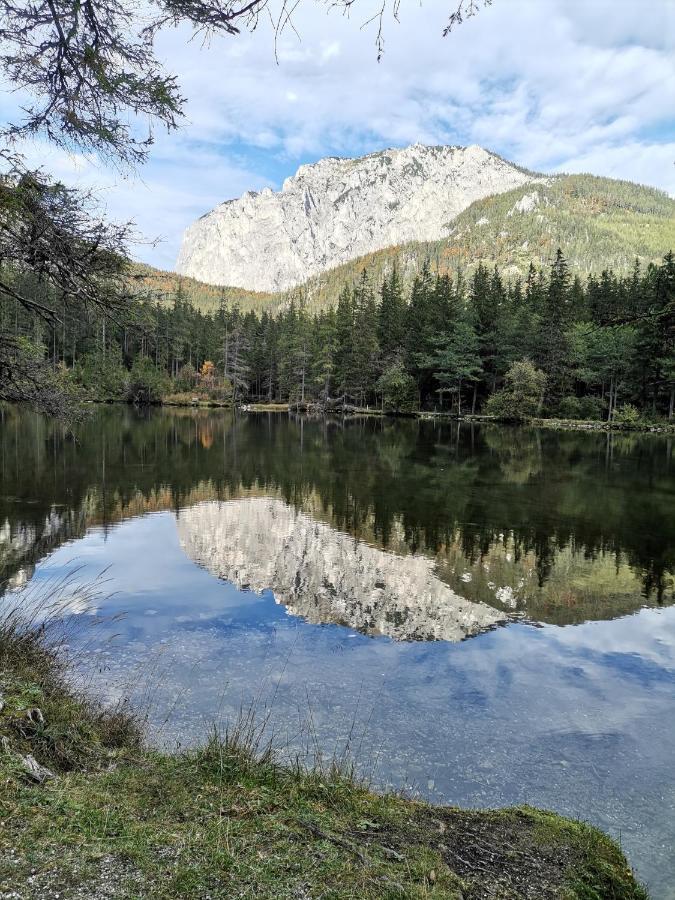 Haus Bergblick Fruehstueckspension Oberort エクステリア 写真