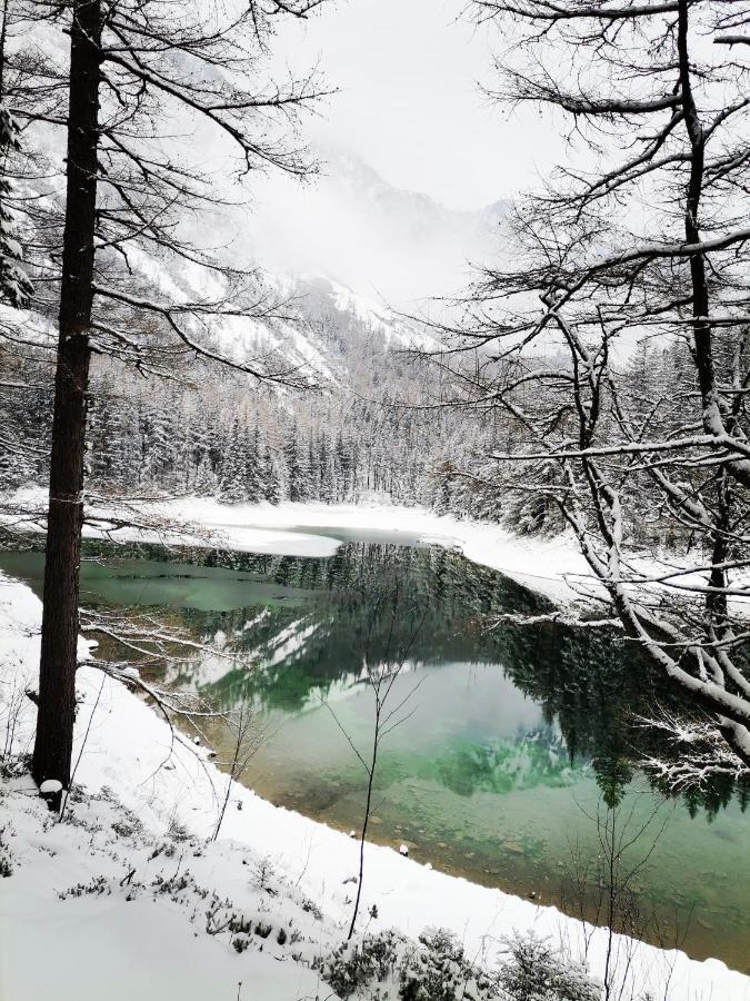 Haus Bergblick Fruehstueckspension Oberort エクステリア 写真