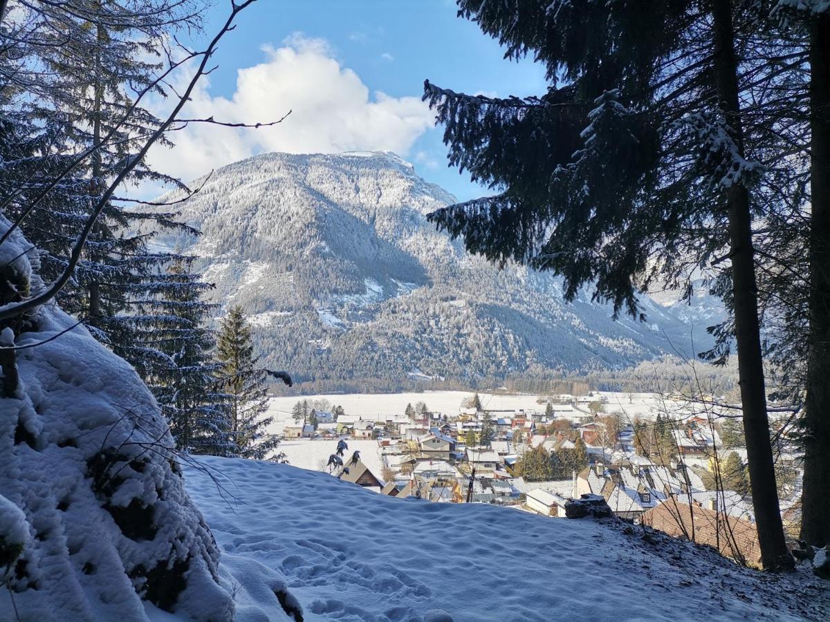 Haus Bergblick Fruehstueckspension Oberort エクステリア 写真