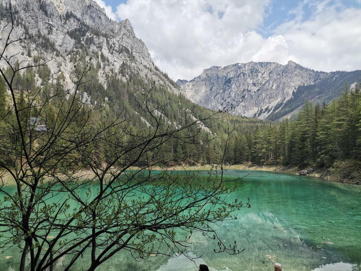 Haus Bergblick Fruehstueckspension Oberort エクステリア 写真