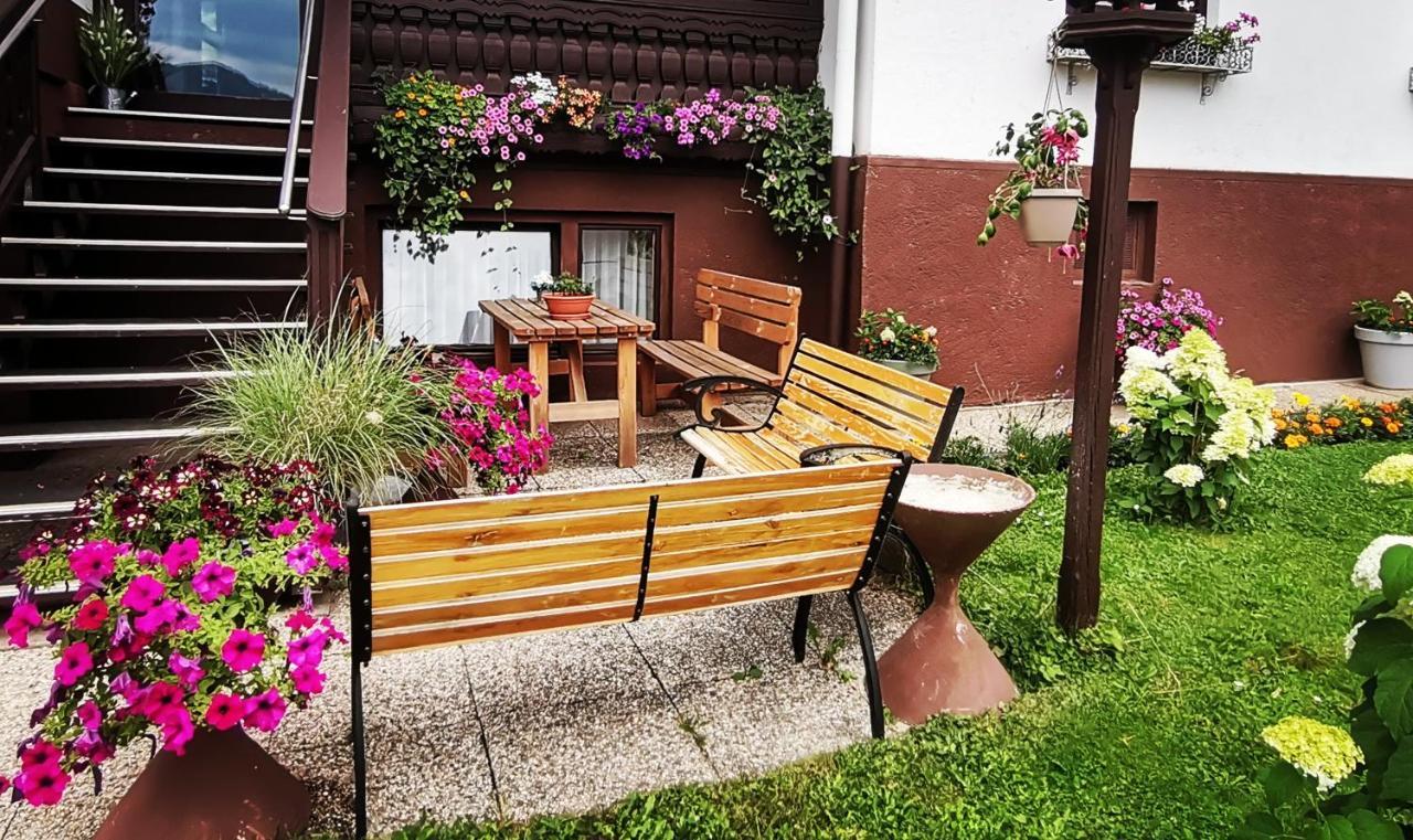 Haus Bergblick Fruehstueckspension Oberort エクステリア 写真