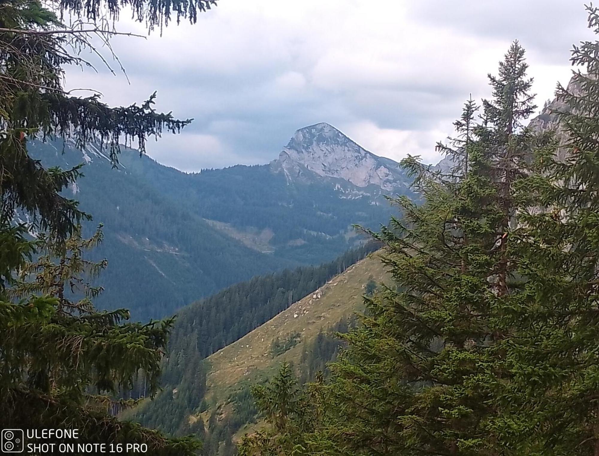 Haus Bergblick Fruehstueckspension Oberort エクステリア 写真