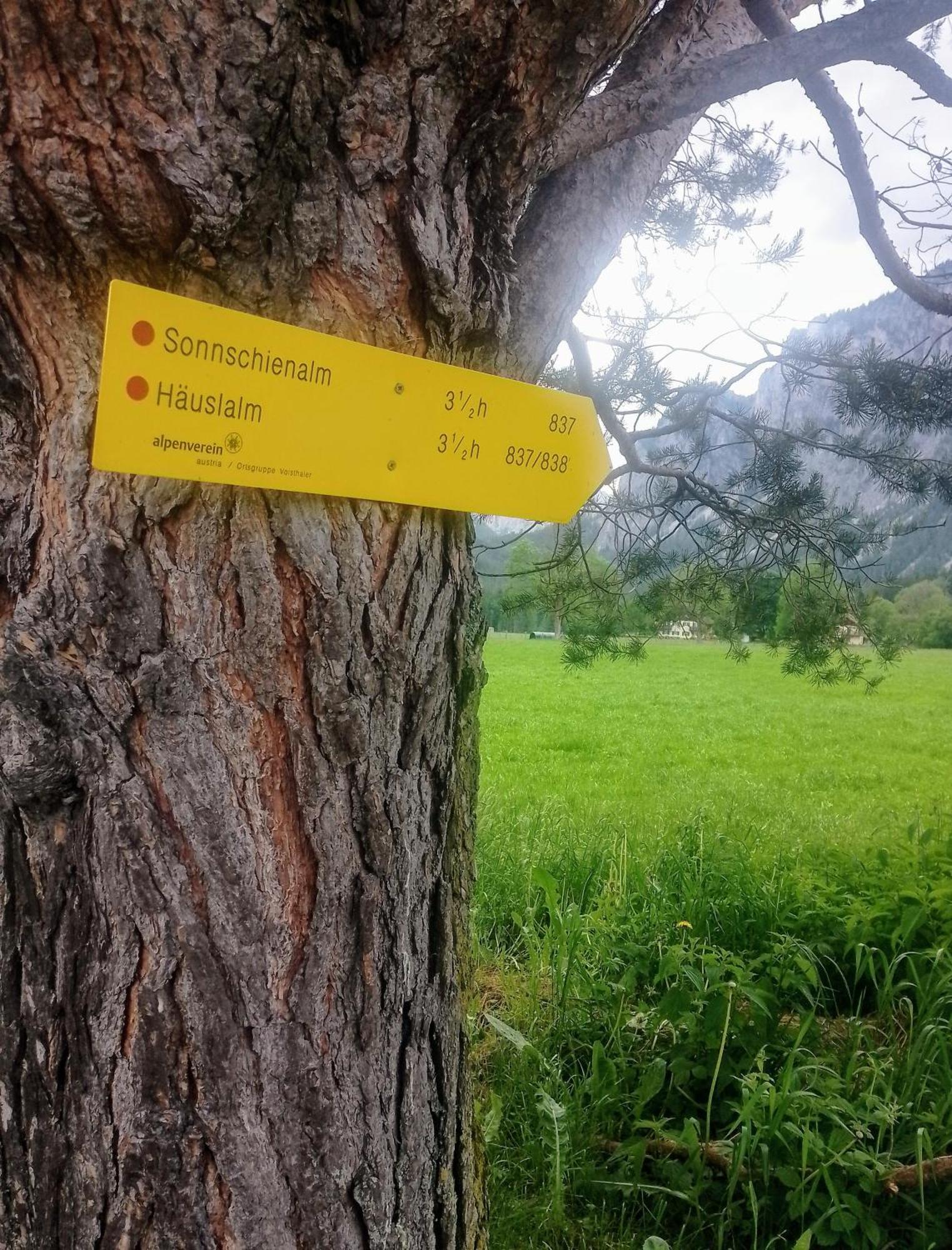 Haus Bergblick Fruehstueckspension Oberort エクステリア 写真