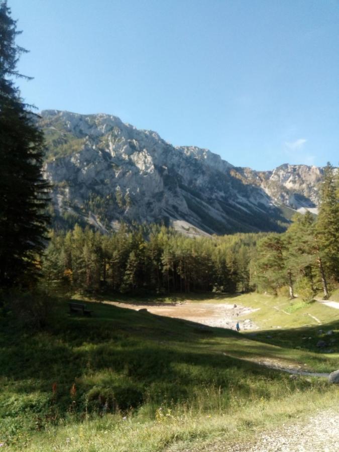 Haus Bergblick Fruehstueckspension Oberort エクステリア 写真